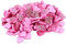 Uonlytech 200 Stück Pailletten Kleines Herz Hotfix Pailletten Patch Patch-Verzierungen Praktische Kleiderflicken Charmante Pailletten-Patches Rotes Zubehör Rosa Zusammengesetzte Pailletten