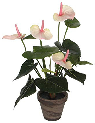 Mica decorations Anthurium Kunstpflanze im Blumentopf - H40 x Ø30 cm - Hellrosa