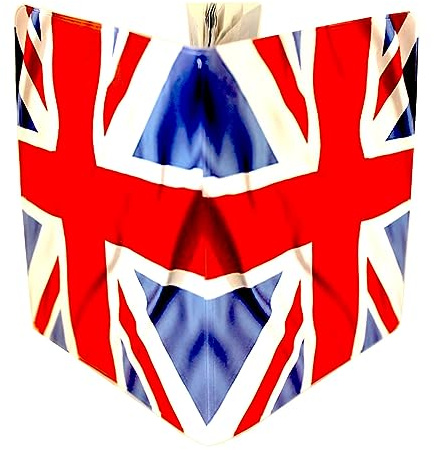 (30+ Designs) Passport Cover Holder Protector Wallet Case Mens Womens for Travel Holiday & Luggage Tag Options (Union Jack)