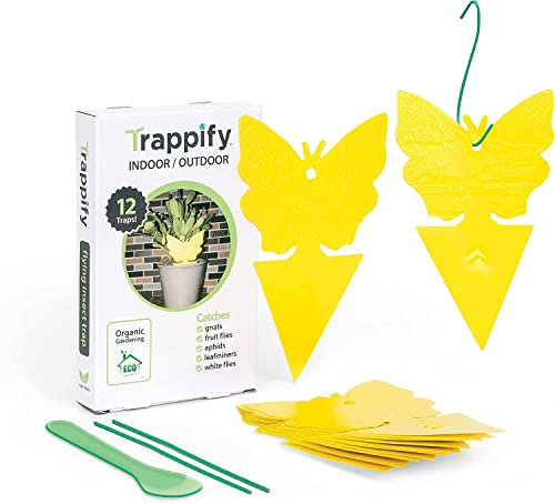 Trappify Einweg Fruchtfliegenfalle und Mückenfalle steckbar & Aufhängen für Planzen (12 Stück) - Fliegenfalle Insektenfallen für Innenbereich & Aussenbereich - Insektenfänger für Blattläuse