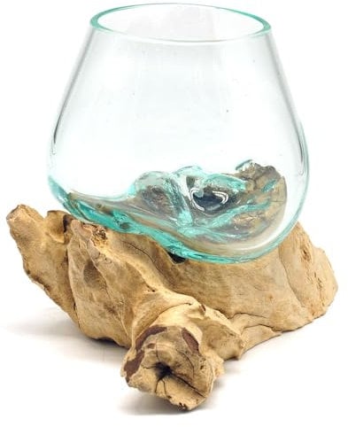 Wurzel mit Glasvase Rund Ø ca.11-12 cm Glas Kugelvase Vase auf Holz Wurzelholz (Hellbraun)