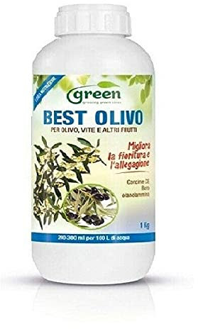 Generico CONCIME Liquido A Base di Boro F5 - Best OLIVO Contro cascola Frutti Green 1 kg AMDGarden