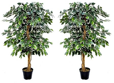 GreenBrokers Premium Artificial Variegated Ficus Tree Potted Plant 140 cm (Set of 2), Two Green, one Size