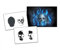 Step by Step Airbrush Schablone Schädel AS-010