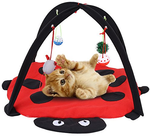 GOTOTOP Spielmatte für Katzen, aus Baumwolle, beweglich, mit Spielzeug, gepolstertes Bett