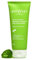Dot & Key CICA Face Wash for Acne Prone Skin, 2% Salicylic Acid with Green Tea | For Oily & Sensitive Skin | Sulphate Free for Men & Women | Oil Control Face Wash with Zinc | 100ml