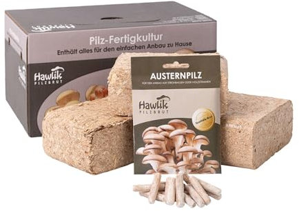 Hawlik Pilzbrut – Austernseitlinge Pilzbeet-Set - Pilze züchten Set – Kinderleicht Pilzbeet anlegen und frische Austernpilze ernten – Pilzzuchtset für den Garten - Pilze selber züchten ohne Vorwissen