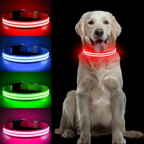 PcEoTllar LED Hundehalsband, aufladbar & wasserdicht, Rot-S | mit 3 Leuchtmodi, Verstellbares Leuchthalsband für kleine bis große Hunde. 3 Leuchtmodi, aufladbar & wasserdicht