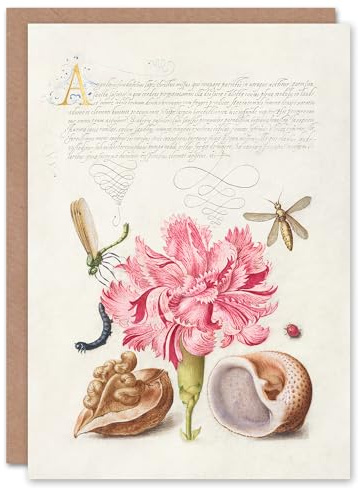 Artery8 Model Book of Calligraphy Art Card Carnation Walnut and Mollusk
