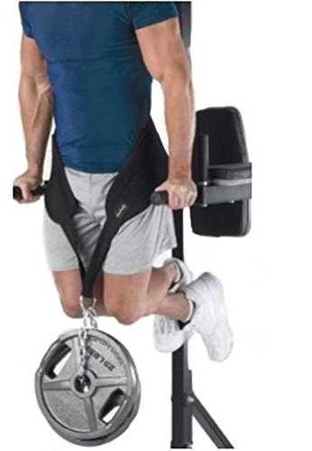 HemeraPhit Gewichtete Klimmzug Dips Gürtel Kette Doppel D Ring Gewichtheben Rückengurte Home Gym Zubehör Hüftgurt (einzelner D-Ring)