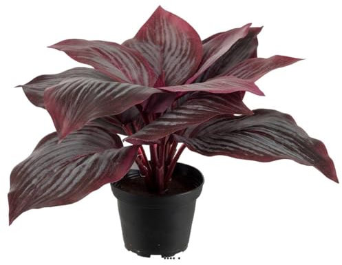 Artificielles.com - Artificial Hosta in pot H 20 cm D 30 cm Wide leaf dummy Red - color: Red 755