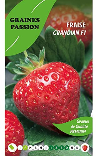 Graines Passion sachet de graines Fraise Grandian F1