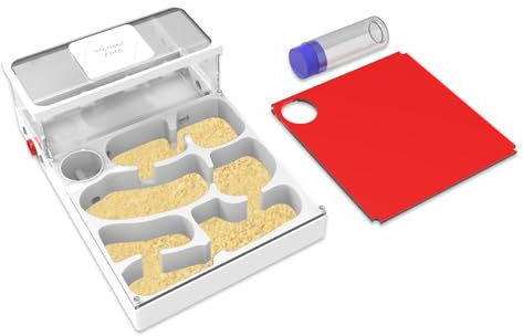 Ameisenfarm mit gelbem Sand und Werkzeugset