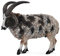 Collecta - Schaf Jacob -L- 88728 (90188728)