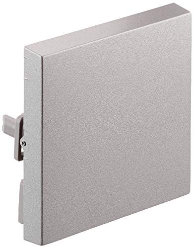 Gira 012626 Wippe 029626 Wechsel System 55 Farbe Alu, 250 V