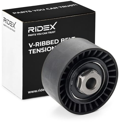 RIDEX 541V0025 Riemenspanner Keilrippenriemen Kompatibel mit RENAULT Clio 3 Schrägheck BR0/1, CR0/1 1175000QAH 1175000QAS 1175000QAT