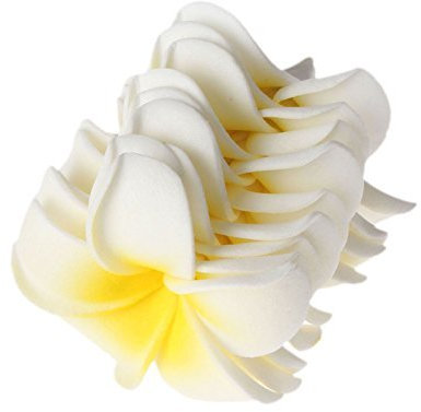 Muxsam Künstliche Frangipani-Blume,Hibiskusblüten Deko, künstliche Plumeria, für Hochzeit, Weihnachten, Party, Haarspange, plastik, 20PCS