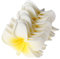 Muxsam Künstliche Frangipani-Blume, künstliche Plumeria, für Hochzeit, Weihnachten, Party, Haarspange, plastik, 20PCS