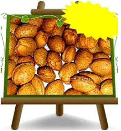Amandiert Genco - Plante fruitière vieux Porte greffe pêche sur pot 20 - arbre max 170 cm - 2 ans