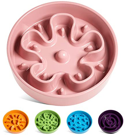 LE TAUCI Slow Feeder Dog Bowls, 675 ml, Pink Bloom