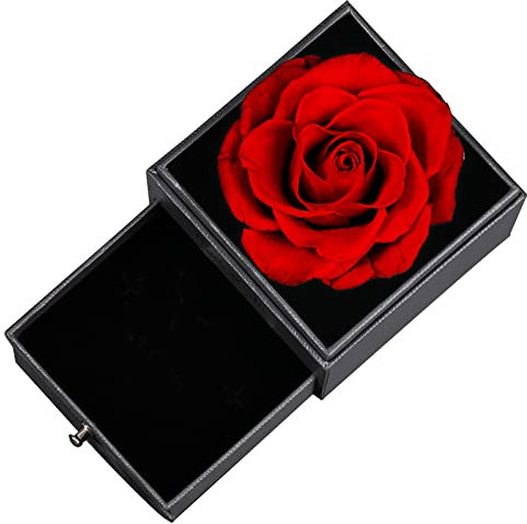 TAIYOU Ewige Echte Rose Geschenkbox mit Kette Konservierte Rose Geschenkbox mit 925 Sterling Silber Sonne Damen Halskette für Sie Valentinstag Muttertag Jahrestag Geburtstag - Dunkelrote