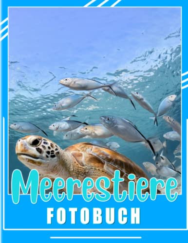 Meerestiere Fotobuch: Sammlung von vielen Tieren unter dem Meer mit 40 bunten Seiten zum Dekorieren und Entspannen | Geschenke an besonderen Tagen für alle Fans