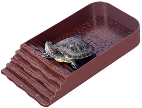 Bol d'eau pour Tortue - Alimentation pour Reptiles, Piscine Amphibie Carré | Alimentaire Multifonctionnel, Accessoire pour Habitat Durable, Conception de Rampe pour Lézards d