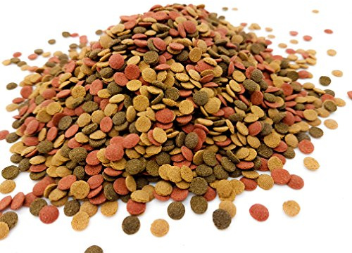 HERONS - Mini Wafer Mix - 5 mm Sinking Wafers with Spirulina - For All Bottom Feeding Fish - Rich in Vitamin C and Fiber - Immune Support - Enhance Colour and Improves Digestion - 1000 Grams