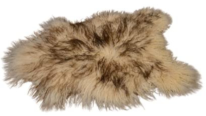 Tannery Sheepskin Schaffell Natürliche gelocktes Weiß Mit Braunen Spitzen isländische Teppiche, Amazing Schaffell, Schafsleder, Schafsleder Bereich, Teppiche, Teppich, (ca. 100/55cm)