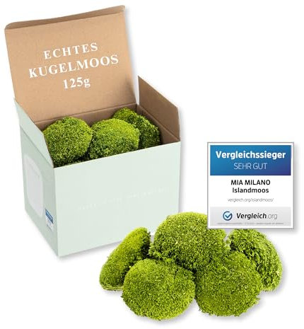 Kugelmoos hellgrün konserviert | 125g Echtes Bollenmoos für Moosbilder | Haltbares Moos zum Basteln | Wetterfestes hellgrünes Islandmoos
