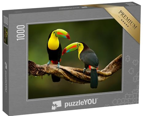 puzzleYOU: Puzzle 1000 Teile „Tukan sitzt auf einem AST im Wald, prächtige Vegetation von Costa Rica“ – aus der Puzzle-Kollektion Tiere, Südamerika