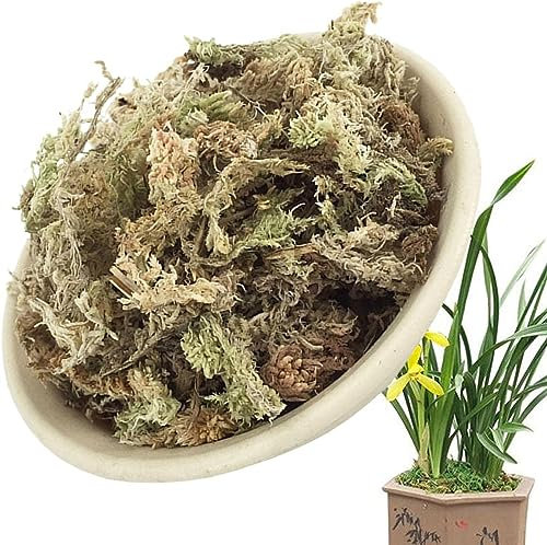 Denxahao Sphagnum Moos für Bonsai Pflanzen Orchideen Phalaenopsis und Terrarium Sphagnummoos Torfmoos Wassermoos Trockenmoos Wasser Gras Substrat Orchideensubstrat Orchideendünger (6L)