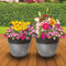 My Garden Plant Flower Pot Set of 2 Indoor & Outdoor 30CM Plastic Plant Pots With Drainage Holes Lightweight Easy To Move Plant Pots Garden Decoration Herb Orchid Planting Pot (Silver Latic Effect)