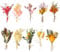 Lithyc 10pcs Petit Bouquet Fleurs SéChéEs - Fleurs SéChéEs Bouquet - Convient pour Les Vases,L'Artisanat,Les Corsages,Les Mariages, La DéCoration D'Accessoires Photo DIY