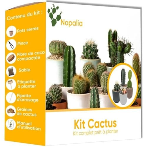 NOPALIA® Kit Cactus - Mini Kit à Faire Pousser - Mini Cactus - Idée Cadeau Insolite - Plante Interieur - Kit Plante Prêt à Pousser - Jardin Intérieur - Décoration Bureau - Plantes Grasses Succulentes