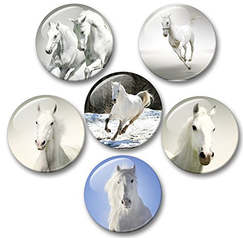 Merchandise for Fans Pferde Schimmel Rappe Fohlen - 6 große Kühlschrankmagnete [ 01 ] für Memoboard Pinnwand Magnettafel Whiteboard