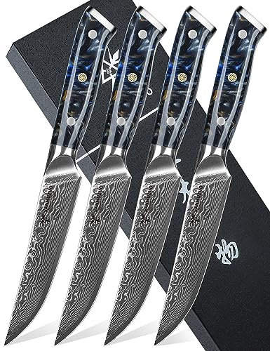 SANMUZUO Ensemble de couteaux à steak de 4 pièces, couteau à steak de cuisine ultra-tranchant non dentelé de 5 pouces - Acier de Damas et manche en résine - Série Xuan(Noir étoilé)