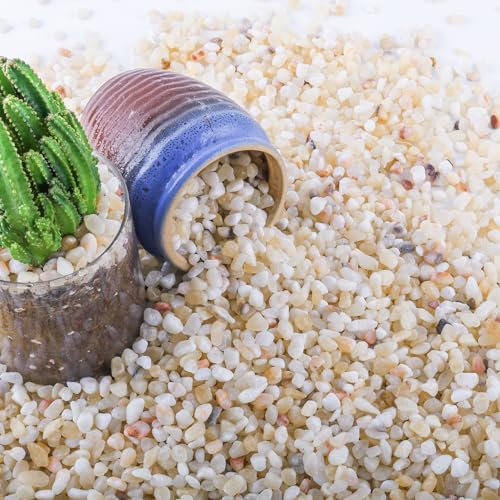CJGQ 7lb Aquarium Gravel for Plants, 1/5Inch River Rocks Pebbles for Succulents and Cactus Bonsai, Decorative Garden Plant Rocks for Landscaping, Small Rocks Gravel for Fish Tank Vase Terrarium