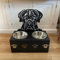 Personalized Dog Bowls Dog Food and Water Bowl with Stand Elevated Dog Bowls，Customized with Your Pet'S Name Custom Dog Bowls for Small Dogs,Stainless Steel Material (Corgi)
