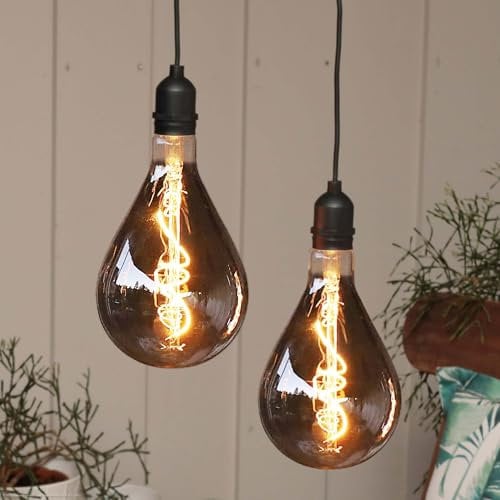 Hellum Hanging lamp with Battery and Remote Control Outdoor Set of 2, A130 Ø 13cm, Smoky Light Bulb with Battery, dimmable Retro Hanging lamp Battery (8xAA not Included) 151466