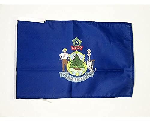 AZ FLAG Maine Flag 45x30 cm American Banner 100D Polyester Cords | Indoor and outdoor use 12x18 in decorative flag double stitched seams and reinforced edges with ties