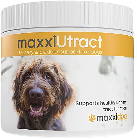 maxxipaws maxxiUtract Harnwegs- und Blasenunterstützung - Nahrungsergänzungsmittel in Pulverform für Hunde, 150g