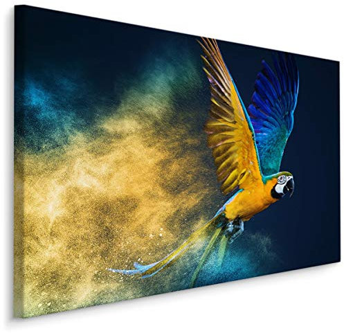 Muralo Leinwandbilder 120x80 Natur Bunt Ara Leinwand Wandbild Kunstdruck Papagei Vogel Federn Tiere Schlafzimmer Wohnzimmer Wanddekoration Design XXL 904 Br. 120 cm x Hö. 80 cm