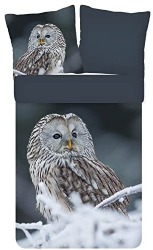 ESPiCO Bettwäsche Trendy Bedding Bennie Eule Schnee AST Landschaft Vogel Tiermotiv Renforcé, Größe:135 cm x 200 cm