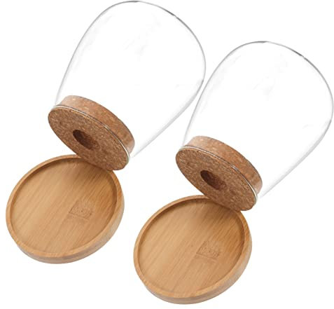 VANZACK Terrarium Verre avec Couvercle Bois Et Plateau Bambou Pot pour Plantes Et Vase Hydroponique pour Micro-jardinière