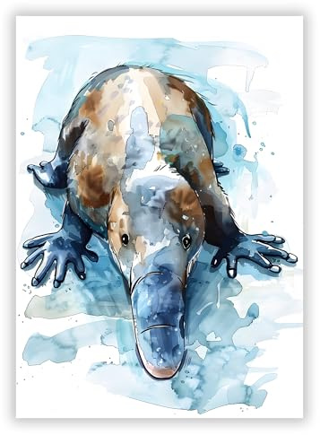 Druck-Palast Schnabeltier Tierposter - 50x70cm - Kunstdruck Poster - Kinderzimmer Spielzimmer - Verspielt Natürlich Aquarell - Hochwertiger semimatter Druck - Wanddekoration ohne Rahmen für