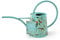 Burgon & Ball Flora and Fauna Gießkanne für den Innenbereich, 1 Liter Fassungsvermögen, Grün