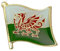 Wales Flag Lapel Pin – Red Dragon Welsh National Emblem Enamel Badge with Gold Trim (1.6 x 1.9cm)