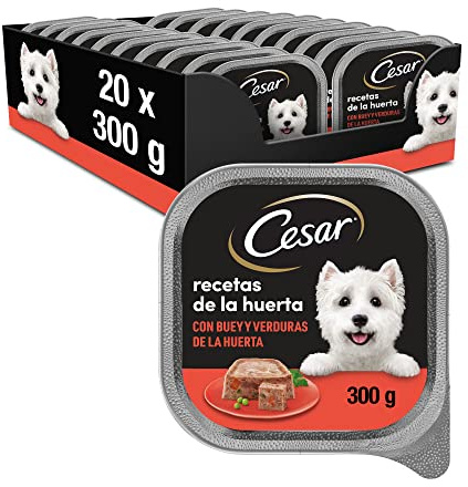 Cesar Aliments humides en gelée pour Chiens saveur de bœuf et de légumes (Lot de 20 x 300 g)