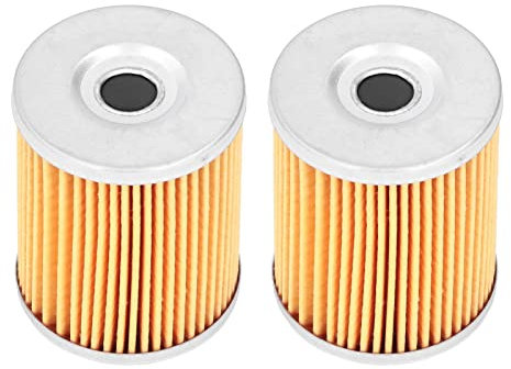 2 Pezzi Filtri Olio Motore 0800-011300 Sostituzione Accessori ATV per CF Moto CForce UForce ZForce